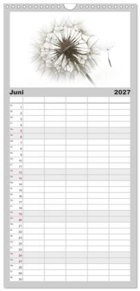 Familienplaner 2027 - Filigrane Pusteblumen / Geburtstagskalender mit 5 Spalten (Wandkalender, 21 x 45 cm) CALVENDO