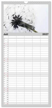 Familienplaner 2027 - Filigrane Pusteblumen / Geburtstagskalender mit 5 Spalten (Wandkalender, 21 x 45 cm) CALVENDO