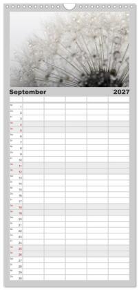 Familienplaner 2027 - Filigrane Pusteblumen / Geburtstagskalender mit 5 Spalten (Wandkalender, 21 x 45 cm) CALVENDO