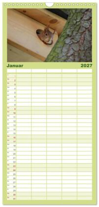 Familienplaner 2027 - Spaß mit Eichhörnchen-Kindern mit 5 Spalten (Wandkalender, 21 x 45 cm) CALVENDO
