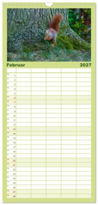 Familienplaner 2027 - Spaß mit Eichhörnchen-Kindern mit 5 Spalten (Wandkalender, 21 x 45 cm) CALVENDO