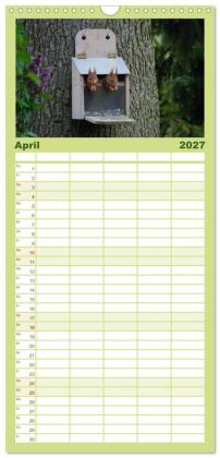 Familienplaner 2027 - Spaß mit Eichhörnchen-Kindern mit 5 Spalten (Wandkalender, 21 x 45 cm) CALVENDO