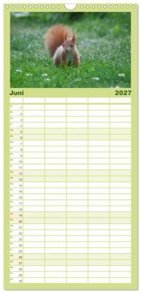 Familienplaner 2027 - Spaß mit Eichhörnchen-Kindern mit 5 Spalten (Wandkalender, 21 x 45 cm) CALVENDO