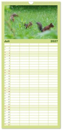 Familienplaner 2027 - Spaß mit Eichhörnchen-Kindern mit 5 Spalten (Wandkalender, 21 x 45 cm) CALVENDO