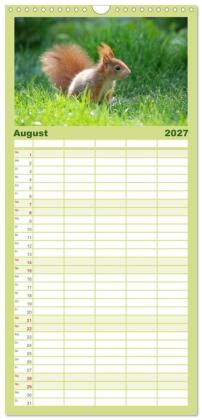 Familienplaner 2027 - Spaß mit Eichhörnchen-Kindern mit 5 Spalten (Wandkalender, 21 x 45 cm) CALVENDO