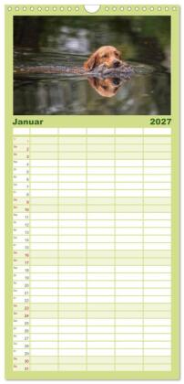 Familienplaner 2027 - Jagdhunde bei der Arbeit mit 5 Spalten (Wandkalender, 21 x 45 cm) CALVENDO