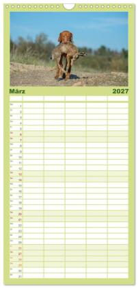 Familienplaner 2027 - Jagdhunde bei der Arbeit mit 5 Spalten (Wandkalender, 21 x 45 cm) CALVENDO