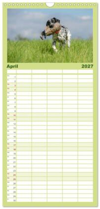 Familienplaner 2027 - Jagdhunde bei der Arbeit mit 5 Spalten (Wandkalender, 21 x 45 cm) CALVENDO
