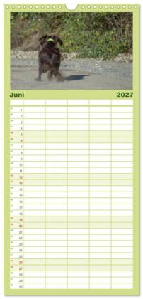 Familienplaner 2027 - Jagdhunde bei der Arbeit mit 5 Spalten (Wandkalender, 21 x 45 cm) CALVENDO