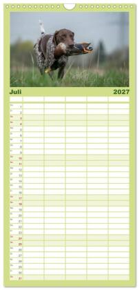 Familienplaner 2027 - Jagdhunde bei der Arbeit mit 5 Spalten (Wandkalender, 21 x 45 cm) CALVENDO