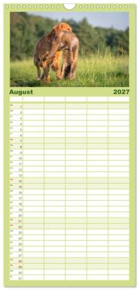 Familienplaner 2027 - Jagdhunde bei der Arbeit mit 5 Spalten (Wandkalender, 21 x 45 cm) CALVENDO