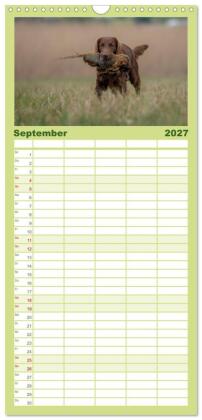 Familienplaner 2027 - Jagdhunde bei der Arbeit mit 5 Spalten (Wandkalender, 21 x 45 cm) CALVENDO