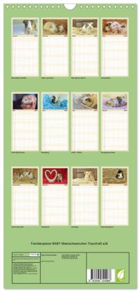 Familienplaner 2027 - Familienplaner BABY Meerschweinchen Traumhaft süß mit 5 Spalten (Wandkalender, 21 x 45 cm) CALVENDO