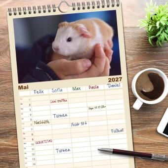 Familienplaner 2027 - Familienplaner BABY Meerschweinchen Traumhaft süß mit 5 Spalten (Wandkalender, 21 x 45 cm) CALVENDO