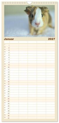 Familienplaner 2027 - Familienplaner BABY Meerschweinchen Traumhaft süß mit 5 Spalten (Wandkalender, 21 x 45 cm) CALVENDO