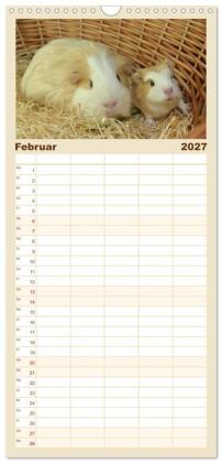 Familienplaner 2027 - Familienplaner BABY Meerschweinchen Traumhaft süß mit 5 Spalten (Wandkalender, 21 x 45 cm) CALVENDO
