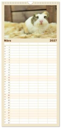 Familienplaner 2027 - Familienplaner BABY Meerschweinchen Traumhaft süß mit 5 Spalten (Wandkalender, 21 x 45 cm) CALVENDO