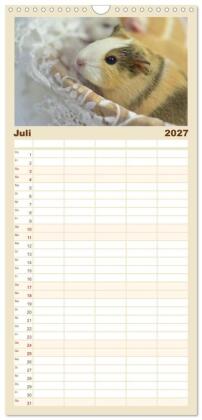 Familienplaner 2027 - Familienplaner BABY Meerschweinchen Traumhaft süß mit 5 Spalten (Wandkalender, 21 x 45 cm) CALVENDO