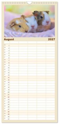 Familienplaner 2027 - Familienplaner BABY Meerschweinchen Traumhaft süß mit 5 Spalten (Wandkalender, 21 x 45 cm) CALVENDO