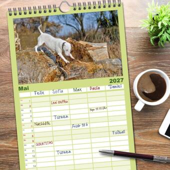 Familienplaner 2027 - Einmal Bullterrier - immer Bullterrier mit 5 Spalten (Wandkalender, 21 x 45 cm) CALVENDO