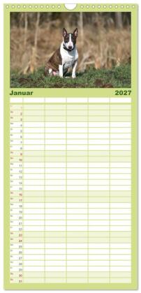 Familienplaner 2027 - Einmal Bullterrier - immer Bullterrier mit 5 Spalten (Wandkalender, 21 x 45 cm) CALVENDO