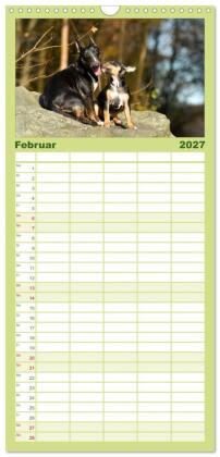 Familienplaner 2027 - Einmal Bullterrier - immer Bullterrier mit 5 Spalten (Wandkalender, 21 x 45 cm) CALVENDO