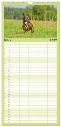 Familienplaner 2027 - Einmal Bullterrier - immer Bullterrier mit 5 Spalten (Wandkalender, 21 x 45 cm) CALVENDO