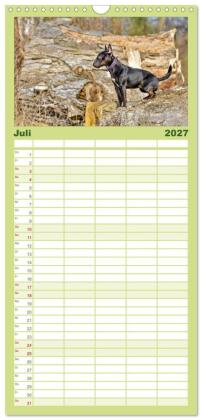 Familienplaner 2027 - Einmal Bullterrier - immer Bullterrier mit 5 Spalten (Wandkalender, 21 x 45 cm) CALVENDO