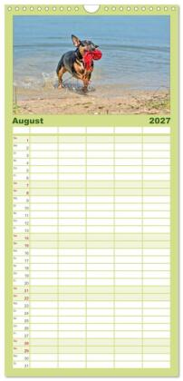 Familienplaner 2027 - Einmal Bullterrier - immer Bullterrier mit 5 Spalten (Wandkalender, 21 x 45 cm) CALVENDO