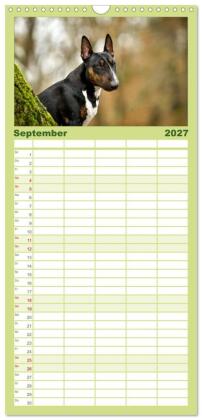 Familienplaner 2027 - Einmal Bullterrier - immer Bullterrier mit 5 Spalten (Wandkalender, 21 x 45 cm) CALVENDO