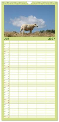 Familienplaner 2027 - Texel, eine Perle Frieslands mit 5 Spalten (Wandkalender, 21 x 45 cm) CALVENDO