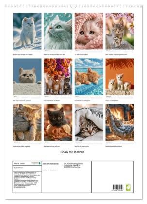 Spaß mit Katzen (Wandkalender 2027 DIN A2 hoch), CALVENDO Monatskalender