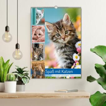Spaß mit Katzen (Wandkalender 2027 DIN A2 hoch), CALVENDO Monatskalender