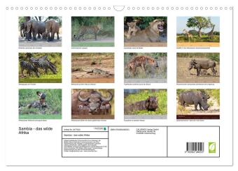 Sambia - das wilde Afrika (Wandkalender 2027 DIN A3 quer), CALVENDO Monatskalender