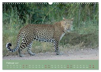 Sambia - das wilde Afrika (Wandkalender 2027 DIN A3 quer), CALVENDO Monatskalender