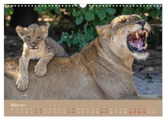 Sambia - das wilde Afrika (Wandkalender 2027 DIN A3 quer), CALVENDO Monatskalender