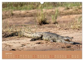 Sambia - das wilde Afrika (Wandkalender 2027 DIN A3 quer), CALVENDO Monatskalender