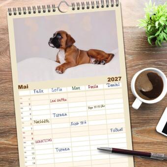 Familienplaner 2027 - Boxer Welpen einfach zuckersüß mit 5 Spalten (Wandkalender, 21 x 45 cm) CALVENDO