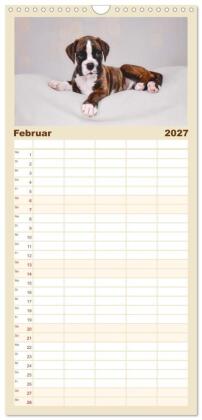 Familienplaner 2027 - Boxer Welpen einfach zuckersüß mit 5 Spalten (Wandkalender, 21 x 45 cm) CALVENDO