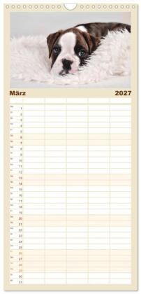Familienplaner 2027 - Boxer Welpen einfach zuckersüß mit 5 Spalten (Wandkalender, 21 x 45 cm) CALVENDO