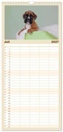 Familienplaner 2027 - Boxer Welpen einfach zuckersüß mit 5 Spalten (Wandkalender, 21 x 45 cm) CALVENDO