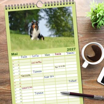 Familienplaner 2027 - Collies - charmante Herzensbrecher mit 5 Spalten (Wandkalender, 21 x 45 cm) CALVENDO