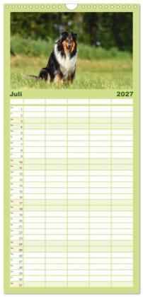 Familienplaner 2027 - Collies - charmante Herzensbrecher mit 5 Spalten (Wandkalender, 21 x 45 cm) CALVENDO