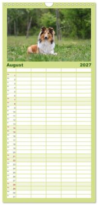 Familienplaner 2027 - Collies - charmante Herzensbrecher mit 5 Spalten (Wandkalender, 21 x 45 cm) CALVENDO