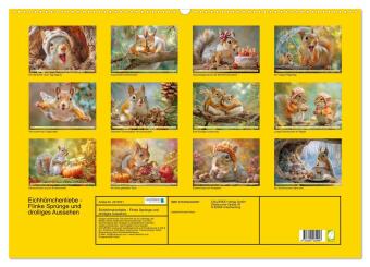 Eichhörnchenliebe - Flinke Sprünge und drolliges Aussehen (Wandkalender 2027 DIN A2 quer), CALVENDO Monatskalender