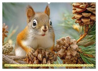 Eichhörnchenliebe - Flinke Sprünge und drolliges Aussehen (Wandkalender 2027 DIN A2 quer), CALVENDO Monatskalender
