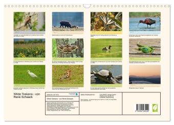Wilde Toskana - von René Schaack (Wandkalender 2027 DIN A3 quer), CALVENDO Monatskalender