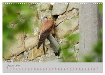 Wilde Toskana - von René Schaack (Wandkalender 2027 DIN A3 quer), CALVENDO Monatskalender