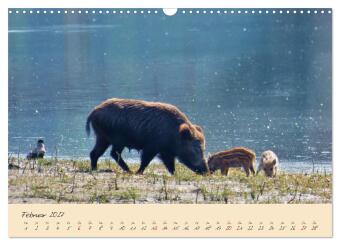 Wilde Toskana - von René Schaack (Wandkalender 2027 DIN A3 quer), CALVENDO Monatskalender