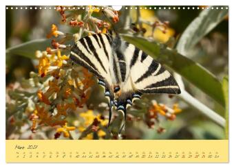 Wilde Toskana - von René Schaack (Wandkalender 2027 DIN A3 quer), CALVENDO Monatskalender
